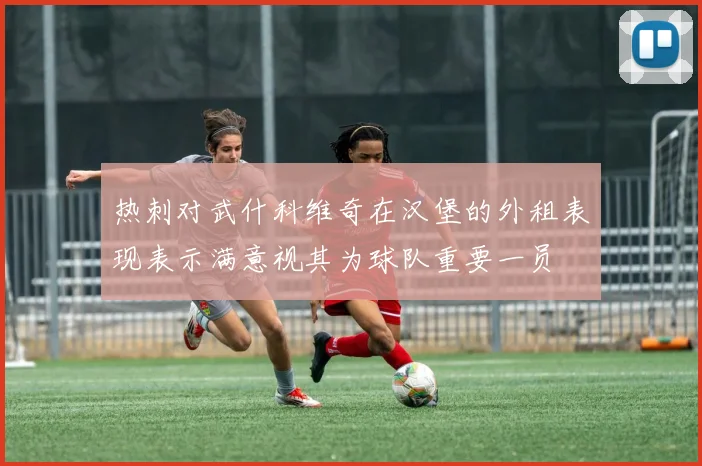 热刺对武什科维奇在汉堡的外租表现表示满意视其为球队重要一员