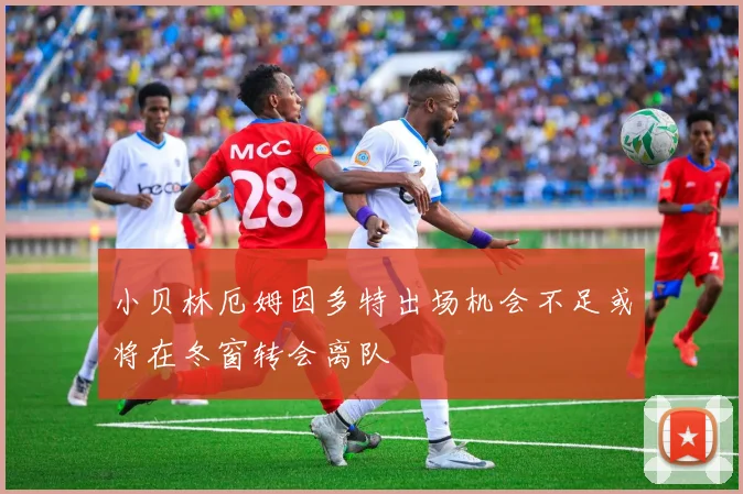 小贝林厄姆因多特出场机会不足或将在冬窗转会离队